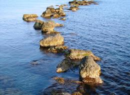  bridge with rocks